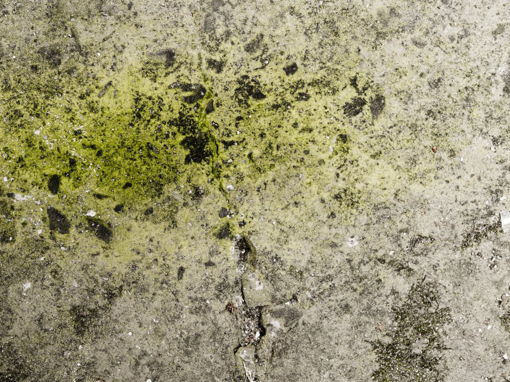 Professional Restoration Services In Kalispell, MT