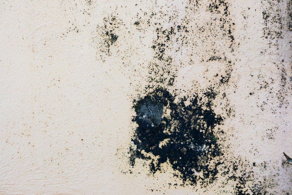 Expert Reconstruction Services in Kalispell, MT